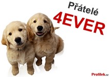 th_pratele-4ever-psi