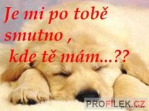 meda-je mi po tobe smutno....